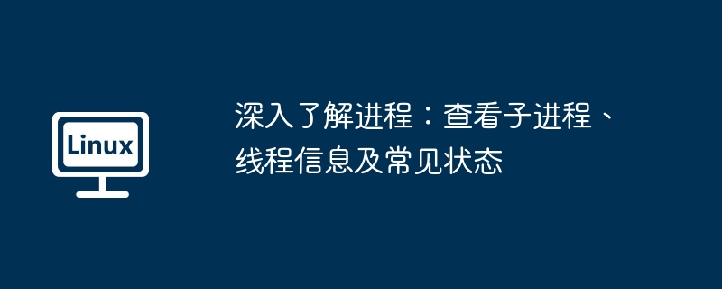 深入了解进程：查看子进程、线程信息及常见状态